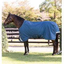 Horseware Rhino Turnout deken 100g Marine / grijs / aqua / grijs Marineblauw
