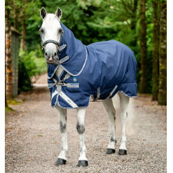 Horseware Rhino Plus Pony Turnout 0g Deken Zwart / titaniumgrijs / klassiek blauw Horseware Rhino Plus Pony Turnout 0g Deken Zwart / titaniumgrijs / klassiek blauw