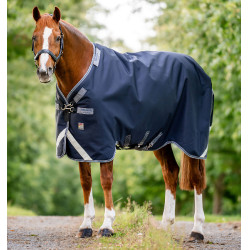 Rambo 1680D winterdeken 450g voor paarden – Horseware