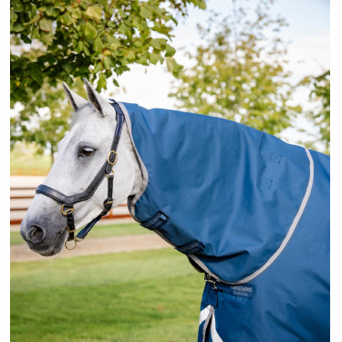 Couverture Horseware Ionic Therapy Turnout 100g 1200D Bleu imperial / argent / marine Couverture Horseware Ionic Therapy Turnout 100g 1200D Bleu imperial / argent / marine