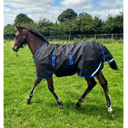 Horseware Amigo Ripstop 900D Veulen Turnout 50g Deken Zwart / klassiek blauw