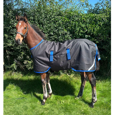 Couverture Horseware Amigo Ripstop 900D Poulain Turnout 50g Noir / bleu classique Couverture Horseware Amigo Ripstop 900D Poulain Turnout 50g Noir / bleu classique