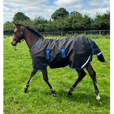 Couverture Horseware Amigo Ripstop 900D Poulain Turnout 200g Noir / bleu classique