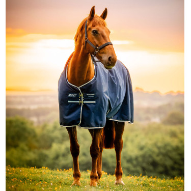 Horseware Amigo Ripstop 900D Poney Turnout 0g Deken Marine witney Marineblauw Horseware Amigo Ripstop 900D Poney Turnout 0g Deken Marine witney Marineblauw