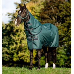 Couverture Horseware Amigo Ripstop 900D Plus Poney Turnout 0g Vert dynastie / marine / argent