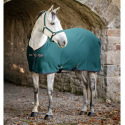 Couverture Horseware Amigo Jersey Poney Cooler Vert dynastie / marine / argent