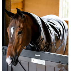 Couverture d'écurie Horseware Amigo Ripstop Insulator Plus 200g Noir / noir / argent