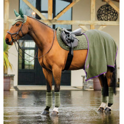 Vliegenmuts Horseware Amigo Earnet Braam Groen
