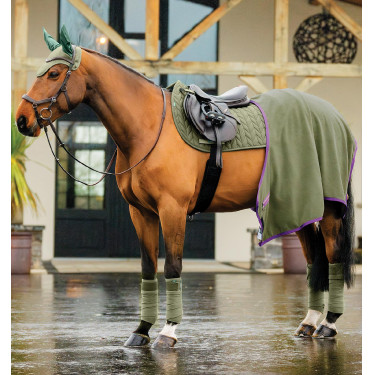 Vliegenmuts Horseware Amigo Earnet Braam Groen