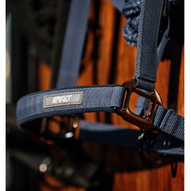 Licol + longe d’équitation Amigo Horseware | Confort