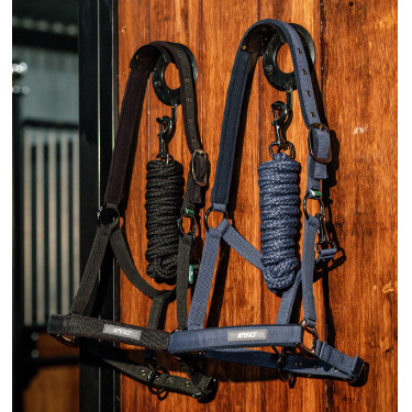 Licol + longe d’équitation Amigo Horseware | Confort