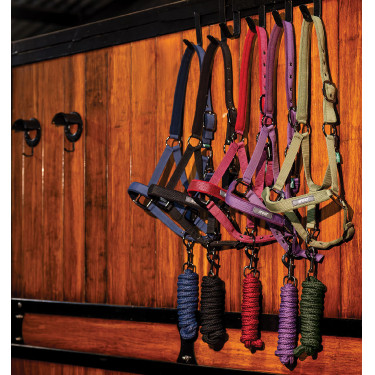 Licol + longe d’équitation Amigo Horseware | Confort