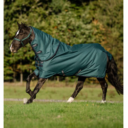 Couverture Amigo Ripstop Horseware 900D Plus Turnout 200g Vert dynastie / marine / argent Couverture Amigo Ripstop Horseware 900D Plus Turnout 200g Vert dynastie / marine / argent