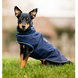 Imperméable pour chien - Protégez votre compagnon