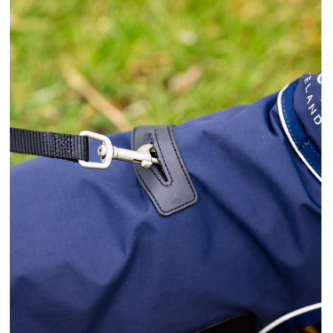 Imperméable pour chien - Protégez votre compagnon