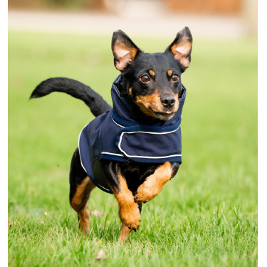 Imperméable pour chien - Protégez votre compagnon