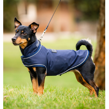 Imperméable pour chien - Protégez votre compagnon