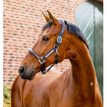 Licol d'équitation Horseware pour concours