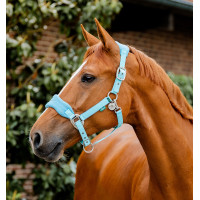 Licol Horseware de pansage Signature Brume bleu