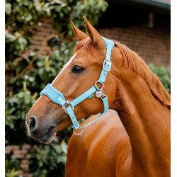 Verzorgingshalster voor paard – Comfort & Pasvorm