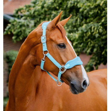 Halster Horseware voor verzorging Signature Blauwe nevel