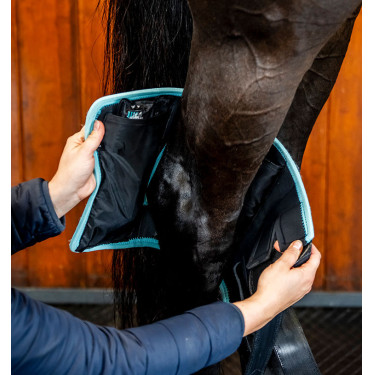 Protège-jarrets vibrants Ice-Vibe pour chevaux
