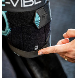 Protège-jarrets vibrants Ice-Vibe pour chevaux