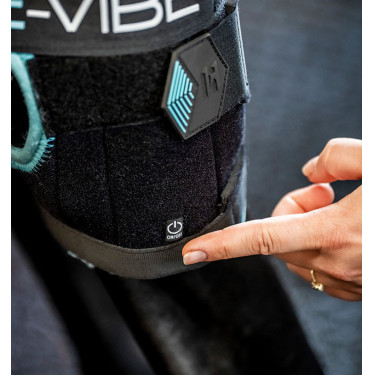 Protège-jarrets vibrants Ice-Vibe pour chevaux