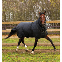 Horseware Trot Plus deken met halsstuk 350g Zwart / zwart / tan