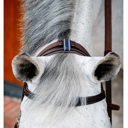 Bridon Horseware Micklem 2 Multi Havane foncé Marron