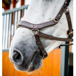 Bridon Horseware Micklem 2 Multi Havane foncé Marron