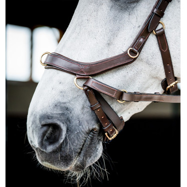 Bridon Horseware Micklem 2 Multi Havane foncé Marron