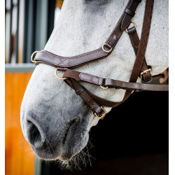 Bridon Horseware Micklem 2 Multi Havane foncé Marron