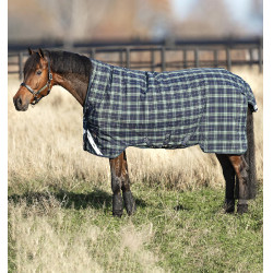 Warme winter regendeken paard 450g Horseware Rhino