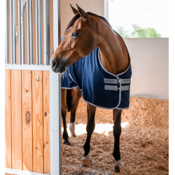 Boxdeken Horseware Amigo Delphinium 0g Marine / titaangrijs / zilver Marineblauw Boxdeken Horseware Amigo Delphinium 0g Marine / titaangrijs / zilver Marineblauw