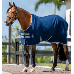 Boxdeken Horseware Amigo Delphinium 0g Marine / titaangrijs / zilver Marineblauw Boxdeken Horseware Amigo Delphinium 0g Marine / titaangrijs / zilver Marineblauw