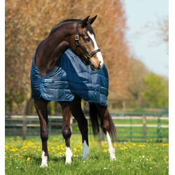 Couverture d'extérieur cheval Rambo Duo 100g + 300g