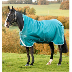 Couverture Horseware High Neck Amigo® Bravo 12 Original 250g 1200D Vert / aqua