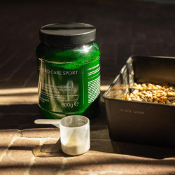 Complément digestif cheval Kentucky Gastro Sport | Equi-Clic Complément digestif cheval Kentucky Gastro Sport | Equi-Clic