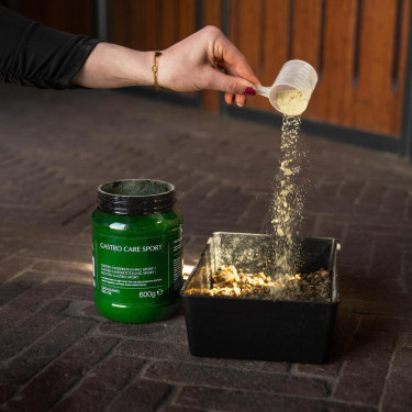 Complément digestif cheval Kentucky Gastro Sport | Equi-Clic Complément digestif cheval Kentucky Gastro Sport | Equi-Clic