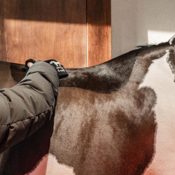 Warme douchegel Amande Grooming Deluxe van Kentucky Amandel Bruin Warme douchegel Amande Grooming Deluxe van Kentucky Amandel Bruin