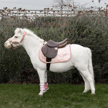 Tapis de selle Kentucky Licorne Pailleté Rose pâle