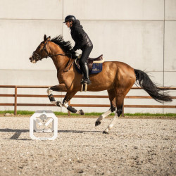 Kentucky Cavaletti aluminium set – paardentraining jumping