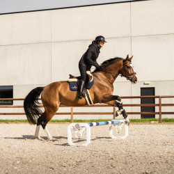 Kentucky Cavaletti aluminium set – paardentraining jumping