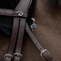 Pierre Lucky Charm Kentucky Noir