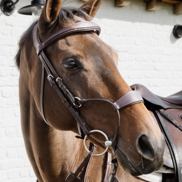 Hybride Neusriem Dy'on New English Collection Bruin