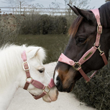 Paardenhalster velvet glitter Eenhoorn Kentucky – Equi-Clic Paardenhalster velvet glitter Eenhoorn Kentucky – Equi-Clic
