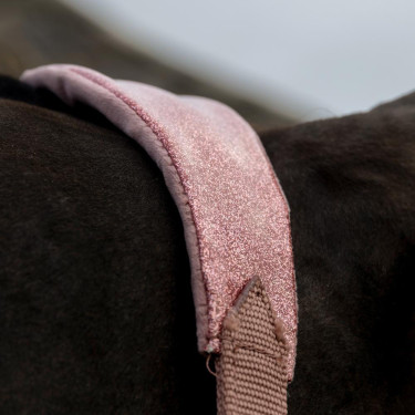 Paardenhalster velvet glitter Eenhoorn Kentucky – Equi-Clic Paardenhalster velvet glitter Eenhoorn Kentucky – Equi-Clic