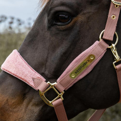 Paardenhalster velvet glitter Eenhoorn Kentucky – Equi-Clic Paardenhalster velvet glitter Eenhoorn Kentucky – Equi-Clic