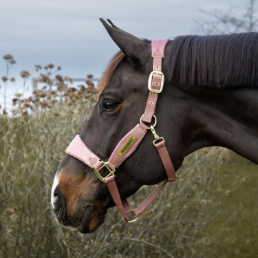 Paardenhalster velvet glitter Eenhoorn Kentucky – Equi-Clic Paardenhalster velvet glitter Eenhoorn Kentucky – Equi-Clic